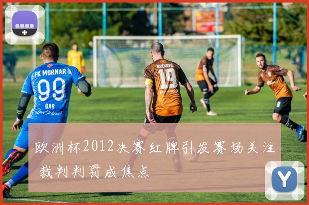 欧洲杯2012决赛红牌引发赛场关注 裁判判罚成焦点