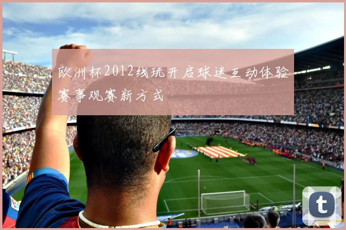 欧洲杯2012线玩开启球迷互动体验赛事观赛新方式
