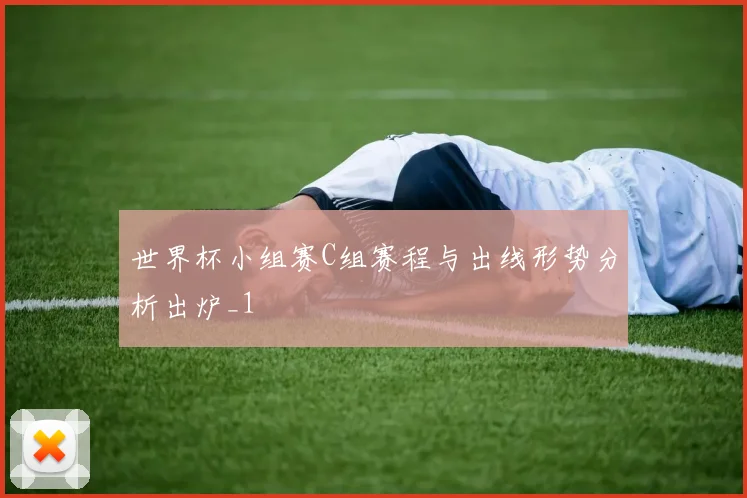 世界杯小组赛C组赛程与出线形势分析出炉_1