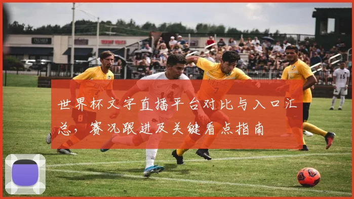 世界杯文字直播平台对比与入口汇总,赛况跟进及关键看点指南