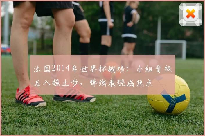 法国2014年世界杯战绩：小组晋级后八强止步，锋线表现成焦点